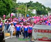 telenord533 telenord533