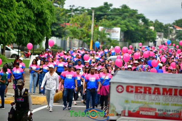 telenord533 telenord533