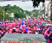 telenord537 telenord537