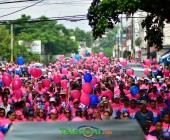 telenord545 telenord545