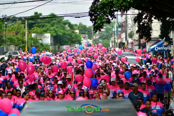 telenord545 telenord545