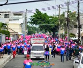 telenord560 telenord560