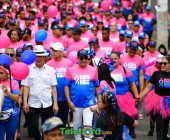 telenord577 telenord577