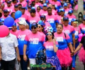 telenord582 telenord582