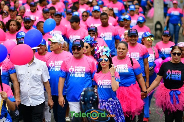 telenord582 telenord582