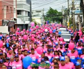 telenord589 telenord589