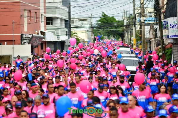 telenord589 telenord589