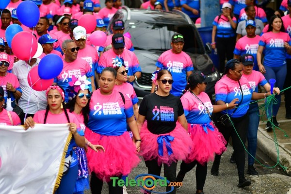 telenord615 telenord615