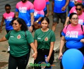 telenord620 telenord620