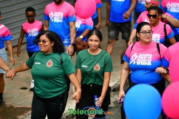 telenord620 telenord620