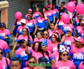 telenord627 telenord627