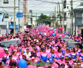 telenord629 telenord629