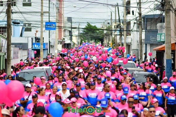 telenord629 telenord629