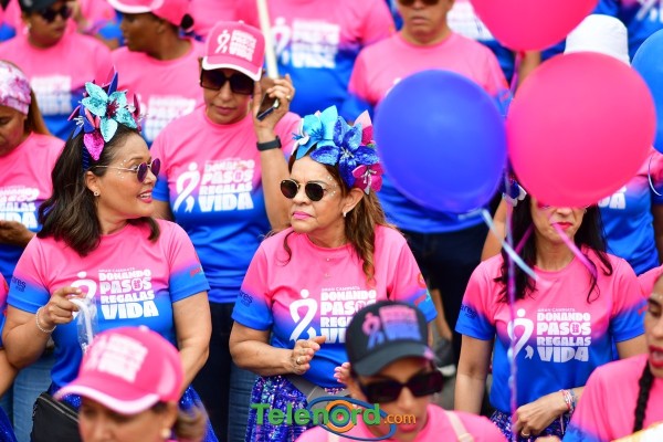 telenord633 telenord633