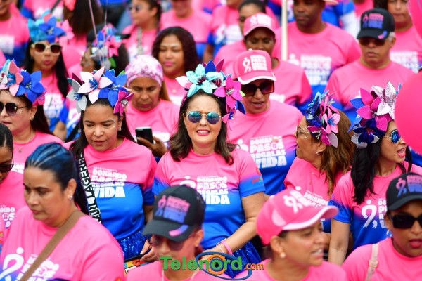 telenord636 telenord636