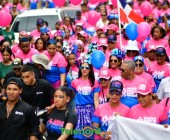 telenord649 telenord649