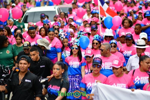 telenord649 telenord649