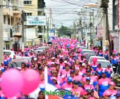 telenord670 telenord670