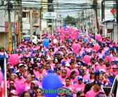 telenord697 telenord697