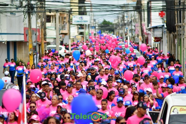 telenord697 telenord697