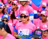 telenord739 telenord739