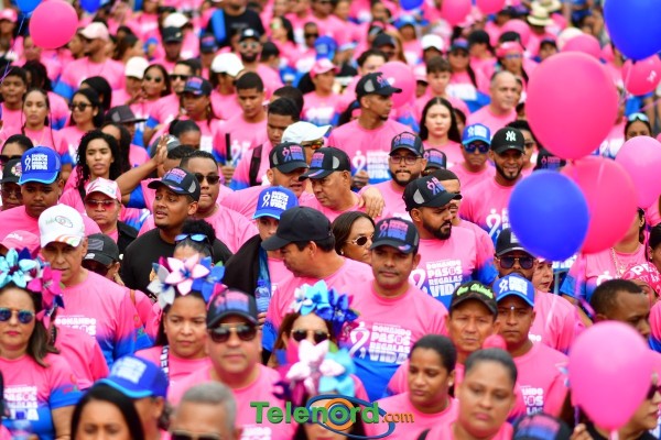 telenord763 telenord763