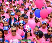 telenord768 telenord768