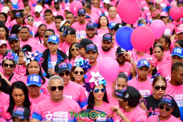 telenord768 telenord768