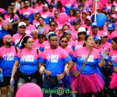 telenord782 telenord782