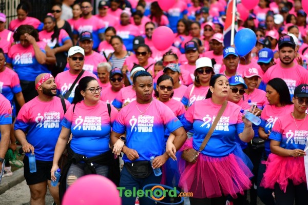 telenord782 telenord782