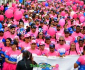 telenord784 telenord784