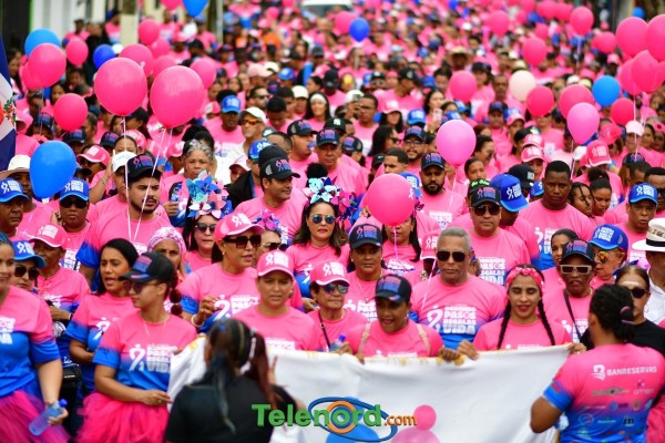 telenord784 telenord784