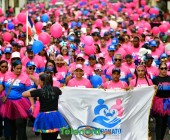 telenord786 telenord786