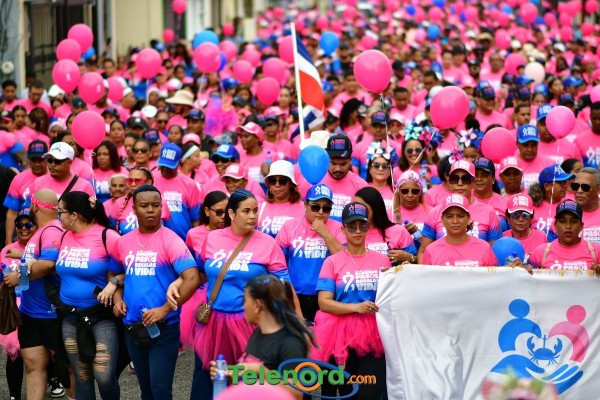 telenord792 telenord792