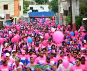 telenord804 telenord804