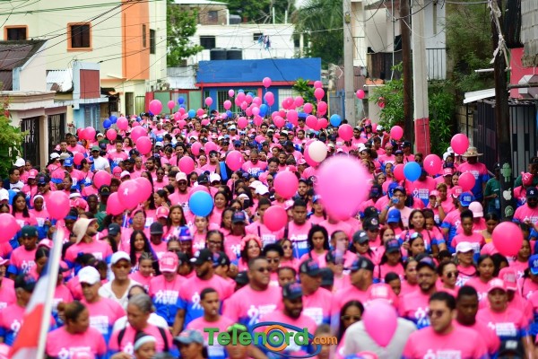 telenord804 telenord804