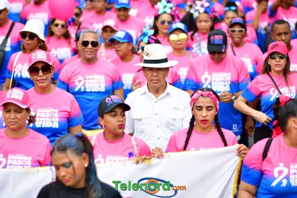 telenord831 telenord831