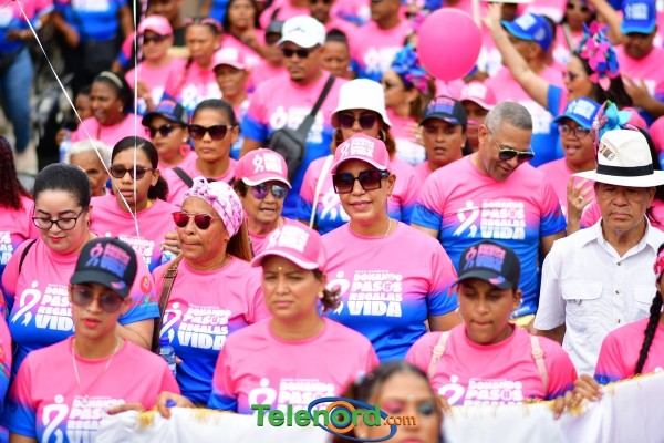 telenord835 telenord835