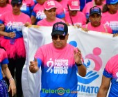 telenord872 telenord872