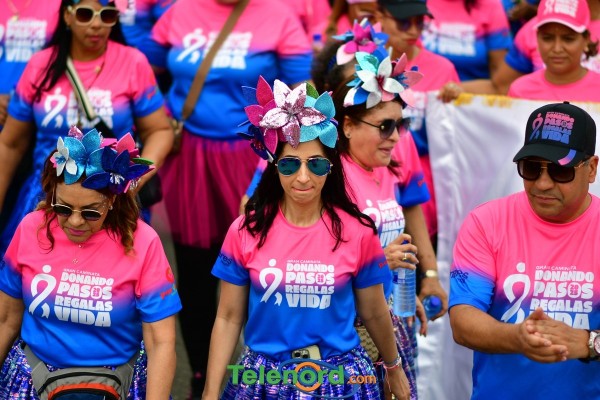 telenord874 telenord874