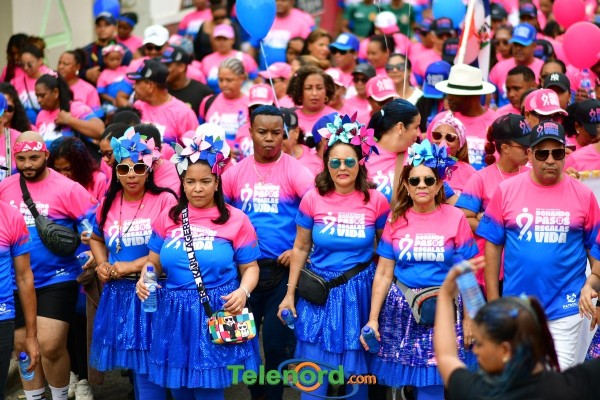 telenord933 telenord933