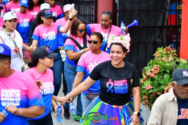 telenord954 telenord954