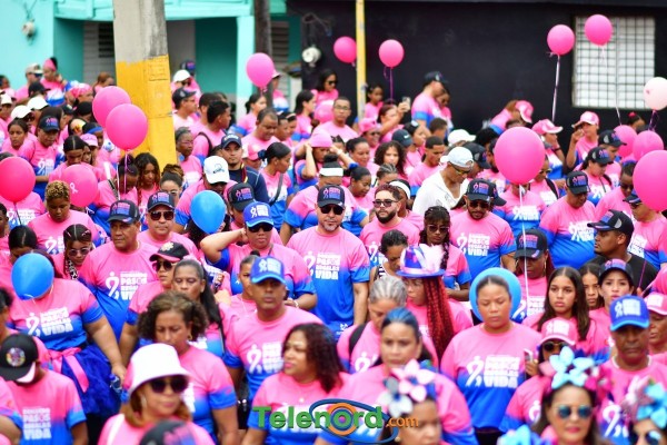 telenord960 telenord960