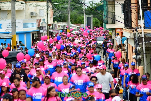 telenord979 telenord979