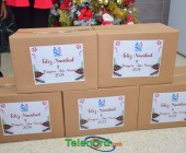 telenord013 telenord013