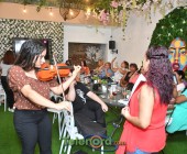 telenord00 telenord00