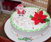 telenord083 telenord083