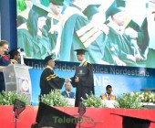 telenord00327 telenord00327
