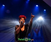 telenord049 telenord049